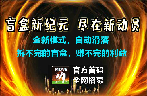 全网招募团队长，月入10w+