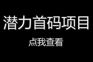 首码项目网今日优质好项目推荐