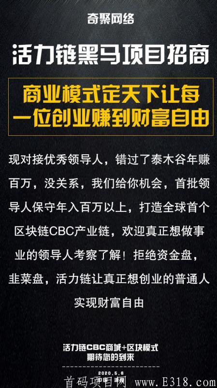 《活力链》5月大型项目招商中  打击一切资金盘 韭菜盘 正真的纯零投资 没有任何风险