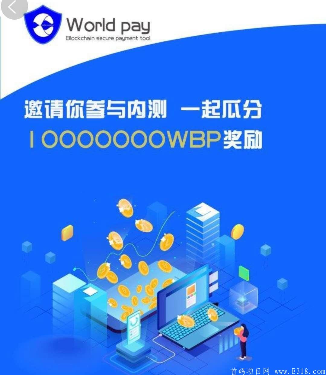 World pay 美国盘子 都来撸他吧