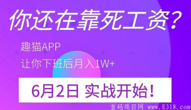 首码分红+悬赏+区块链 趣猫 0撸稳定项目首选