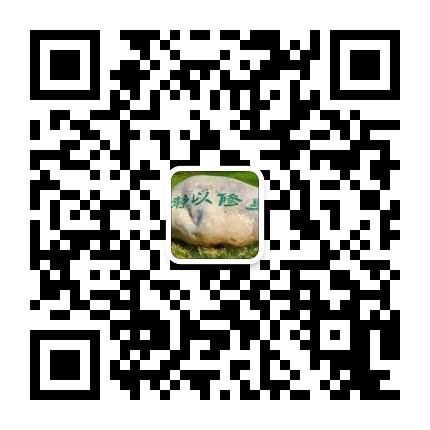 mmqrcode1593613377434.png