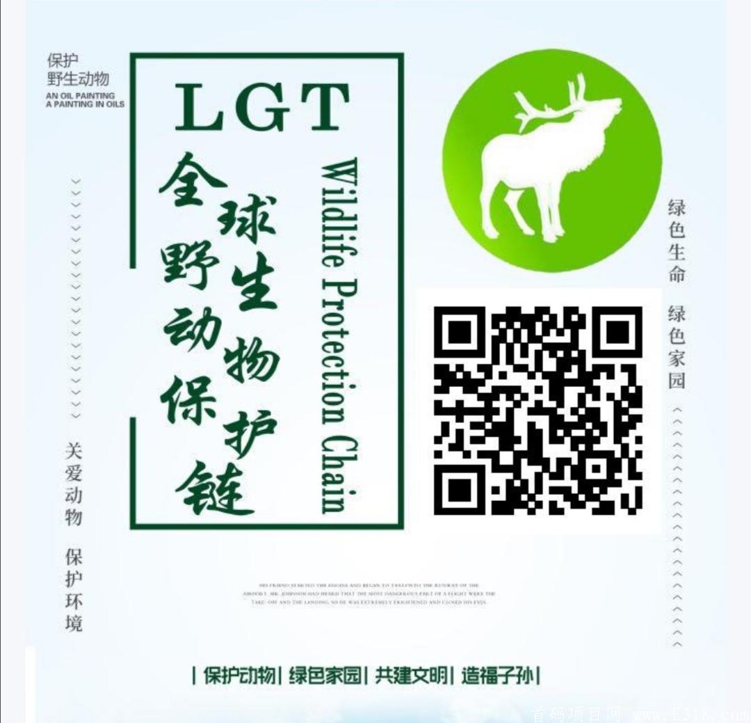 LGT动物链，上高速了正在超车，币币包回收。