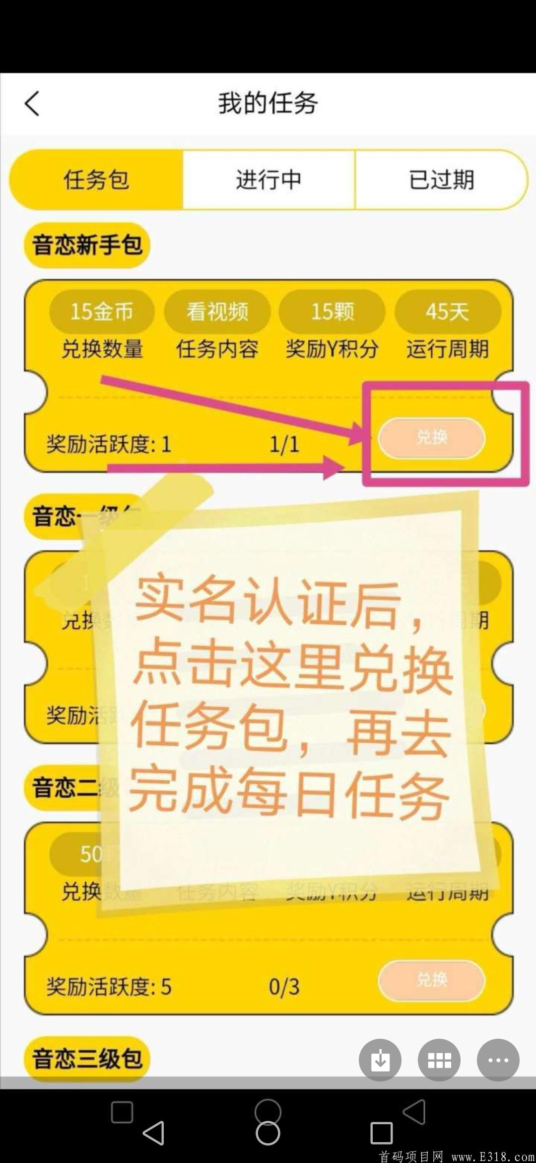 音恋   2020年黑马项目