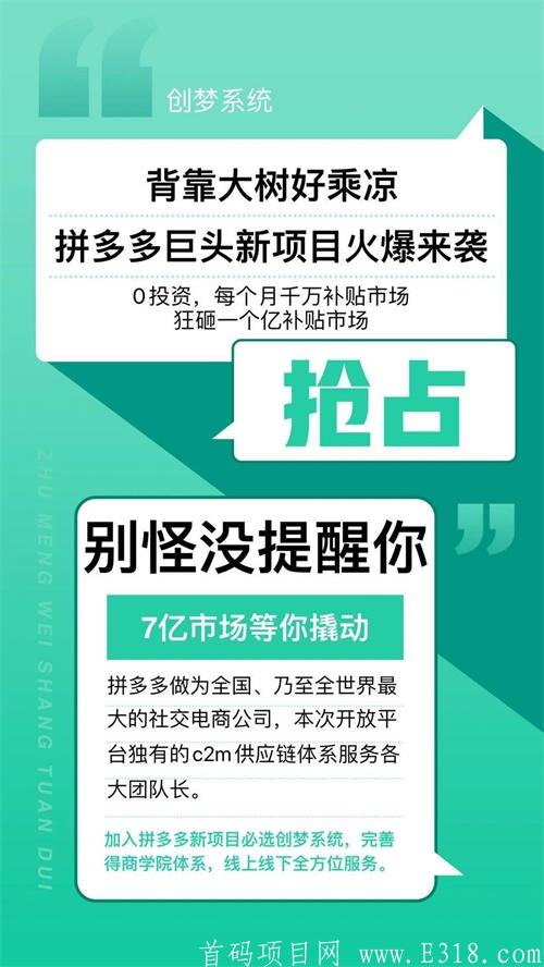 拼dd新项目，拼dd社交电商，团队对接中，火热内排中