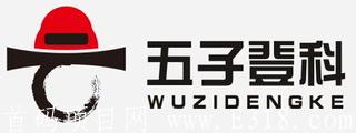 【五子登科】火爆招募合伙人！ 2020全新项目，全新的趋势！ 不同于市面上的普通项目