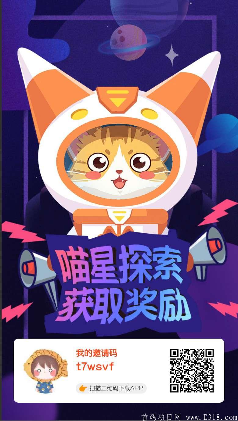 star_cat.jpg