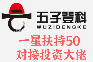 五子登科一星达人扶持50对接投资大佬