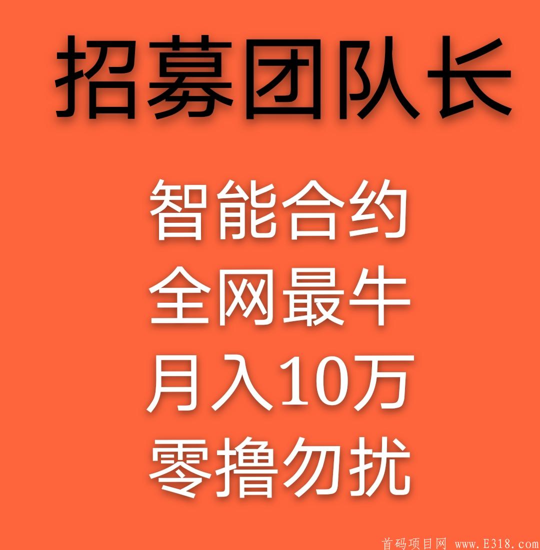 TronChain震撼登录中国不到20天 对接各团队长 带你赚翻天月入10万+ 