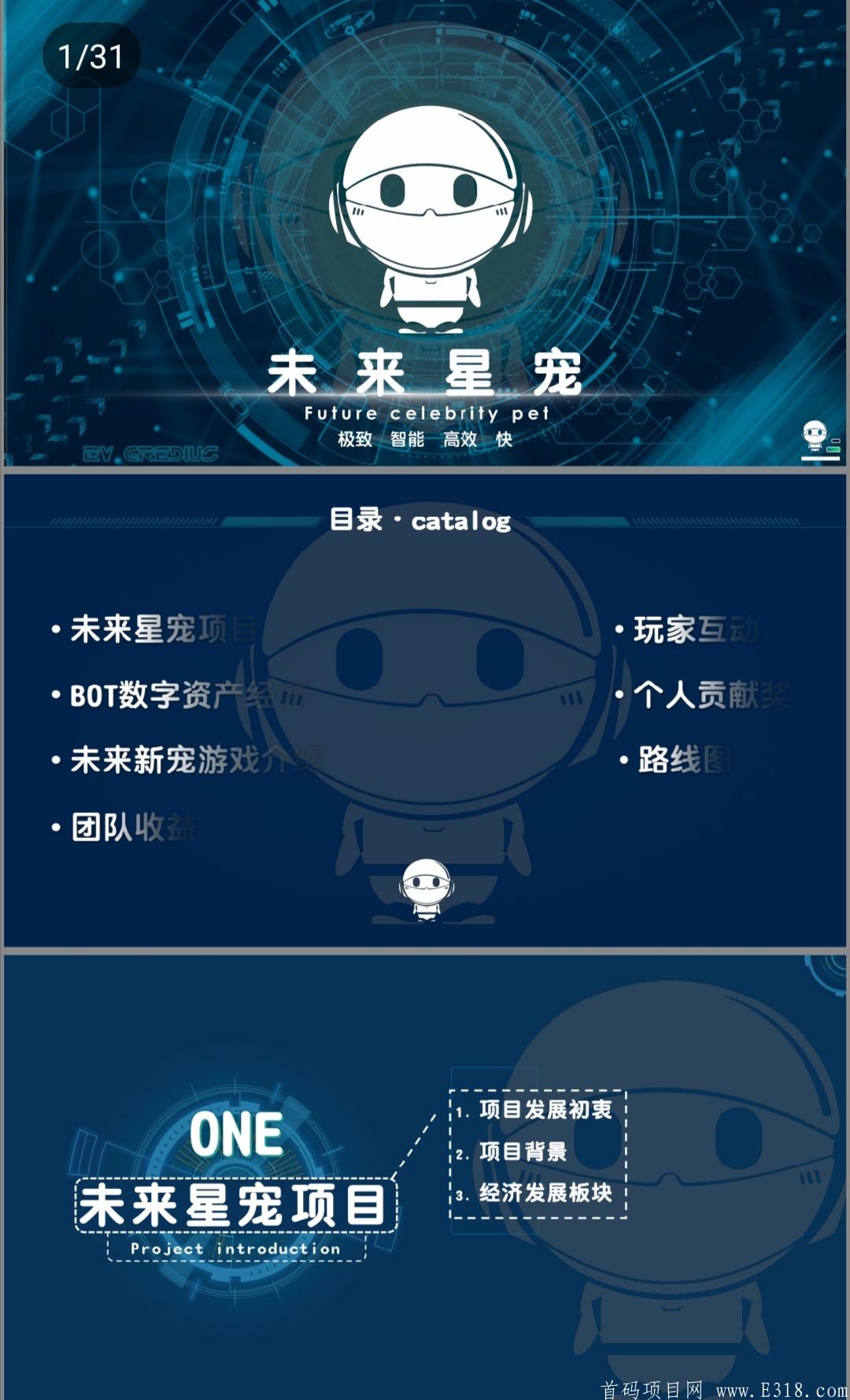 国外项目：BOT未来星宠，诚招团队长，高佣扶持，对接领导人