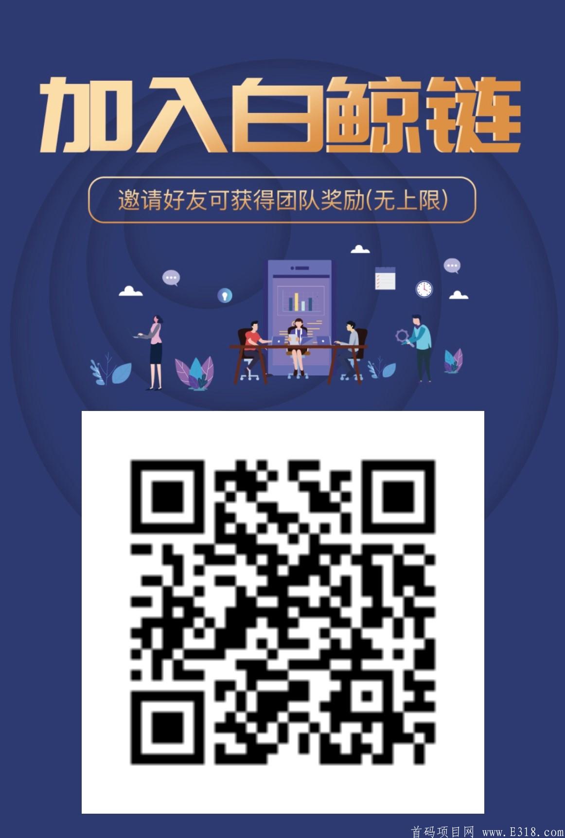【BJB白鲸币】会成为下一个GEC吗？