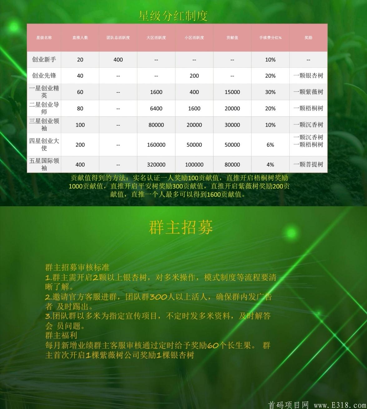 [多米生态]零风险，实体落地长久项目，10月15日正式运行！自动排线，早进早排，大区无限代兜底，小区无限代扶持1.5！