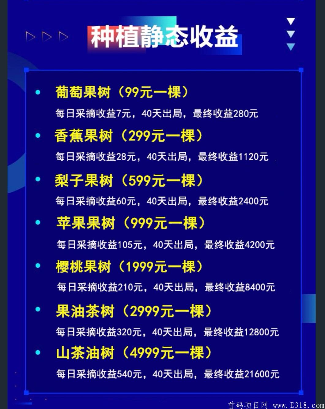 最新首码项目，2020年最后一个回血项目，带你日赚300+