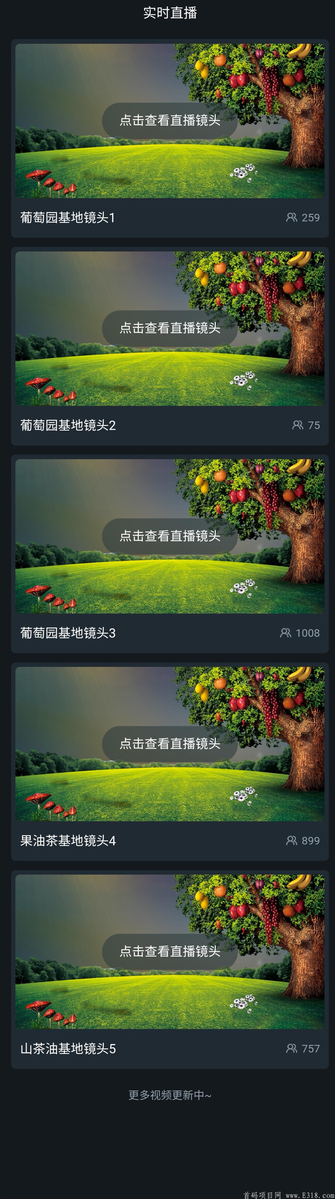 最新首码项目，2020年最后一个回血项目，带你日赚300+