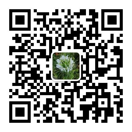 mmqrcode1604500179815.png