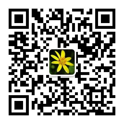 音动最牛零撸排线必赚