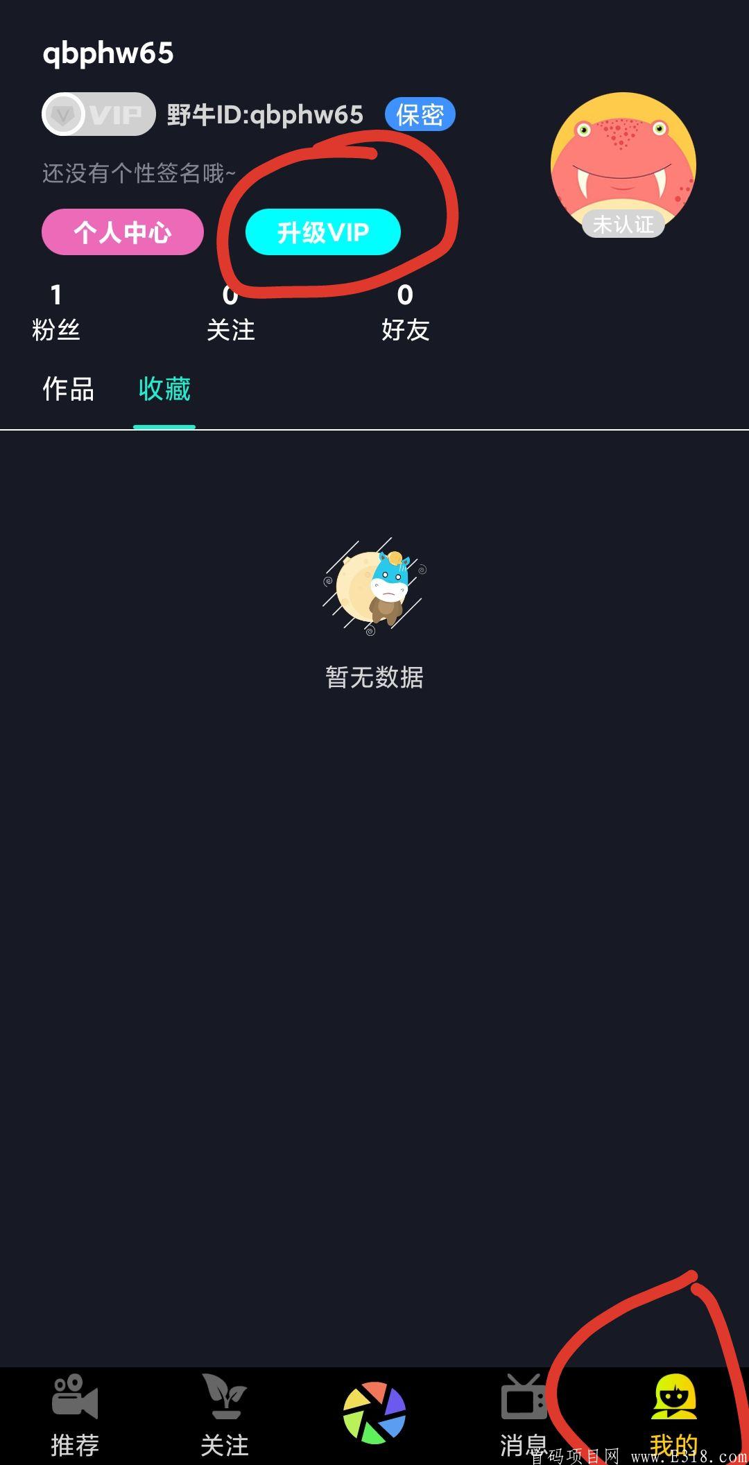 -46094501cdd89ae7.jpg