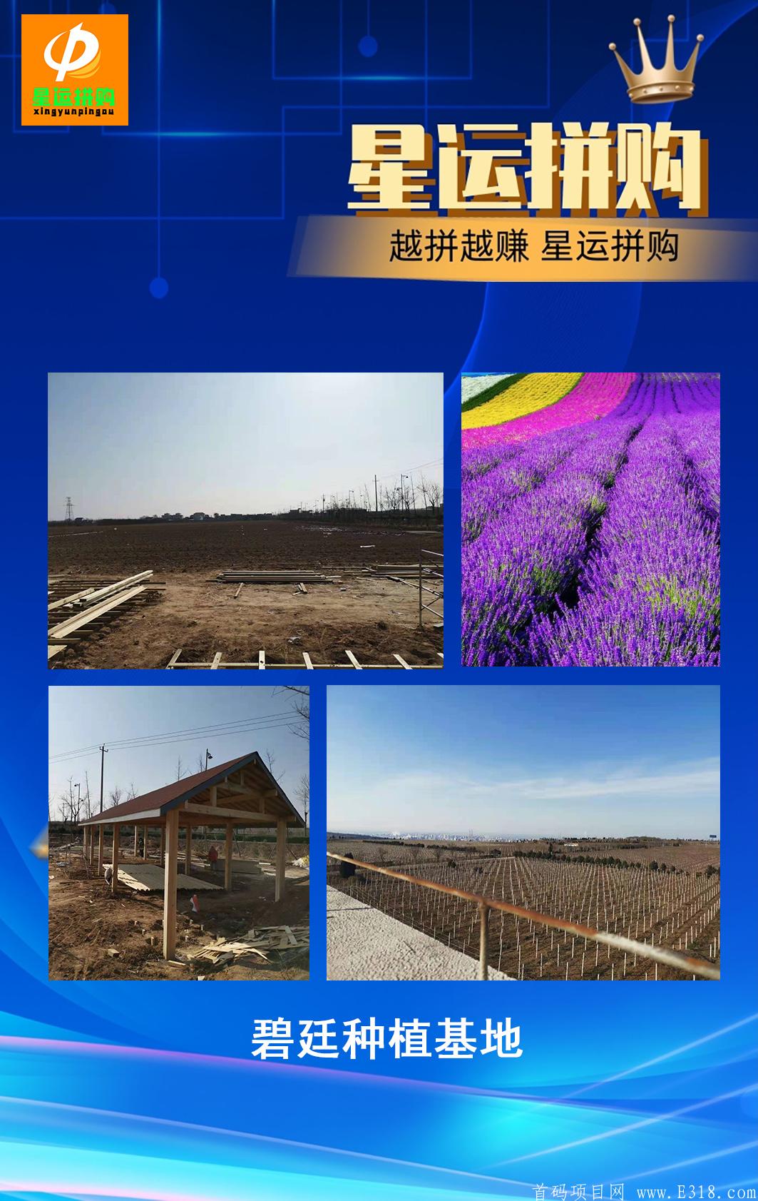 星运拼购，拼团模式全网首创，无需实名，对接首码可零撸。