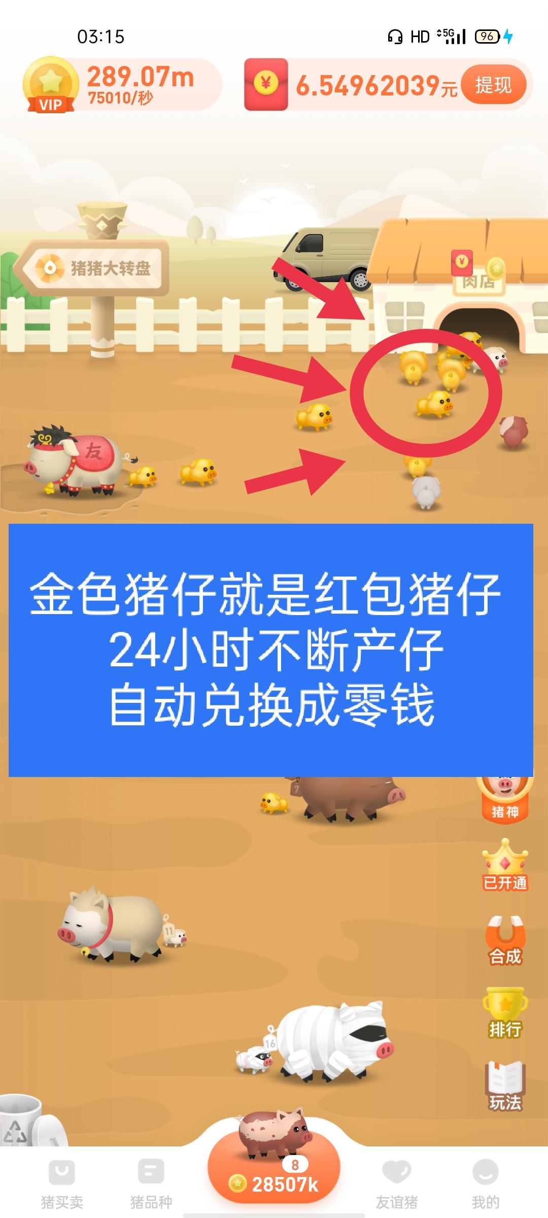 一起来养猪(附脚本收益高)