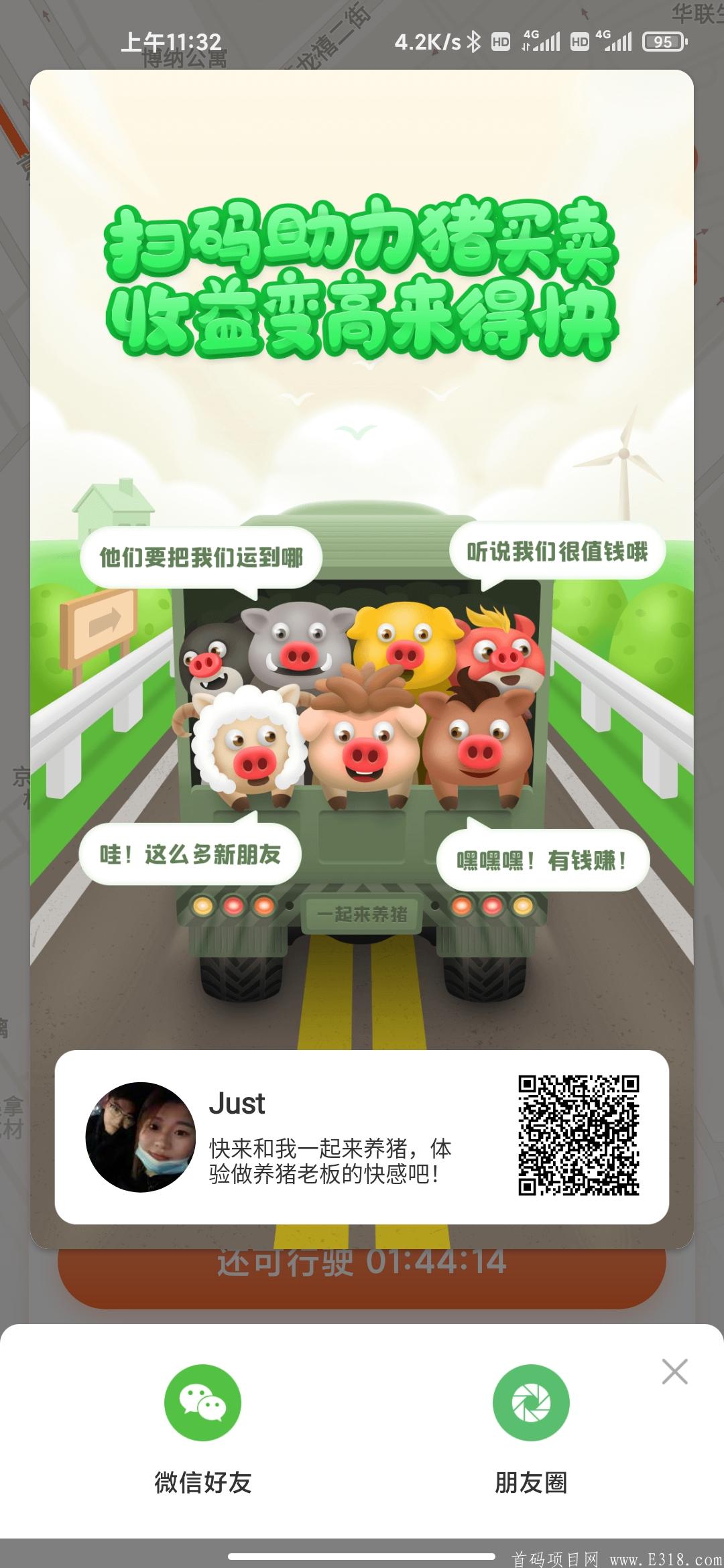 一起来养猪，送脚本