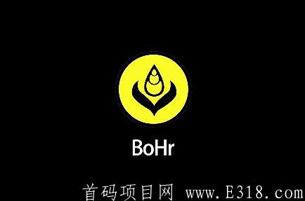 BoHr币波尔公链PI币模式免费开挖，现有人10元一个收免费空投挖kuang开始