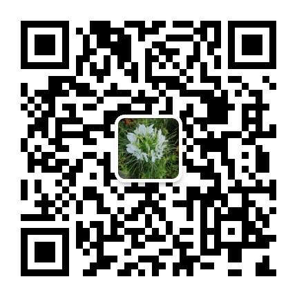 【橘猫势力】最新玩法零撸一千多块每月?看下面教程