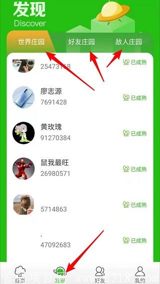 偷豆子