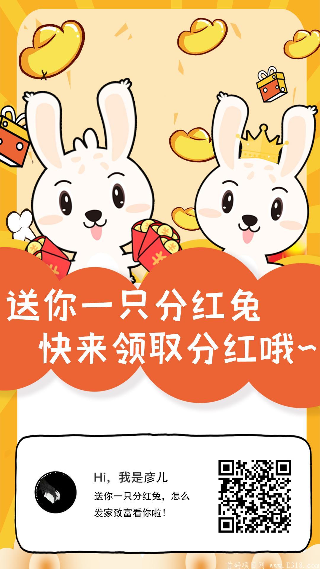 首码项目，多彩农场，世界农场主场，收益非常高，暴力稳定项目