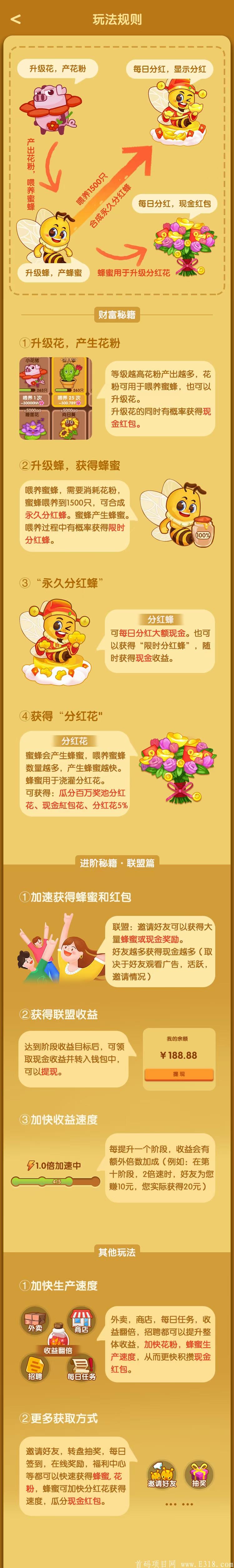 2月1日小蜜蜂首码预热