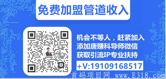 最新首码项目网 最新首码项目网站