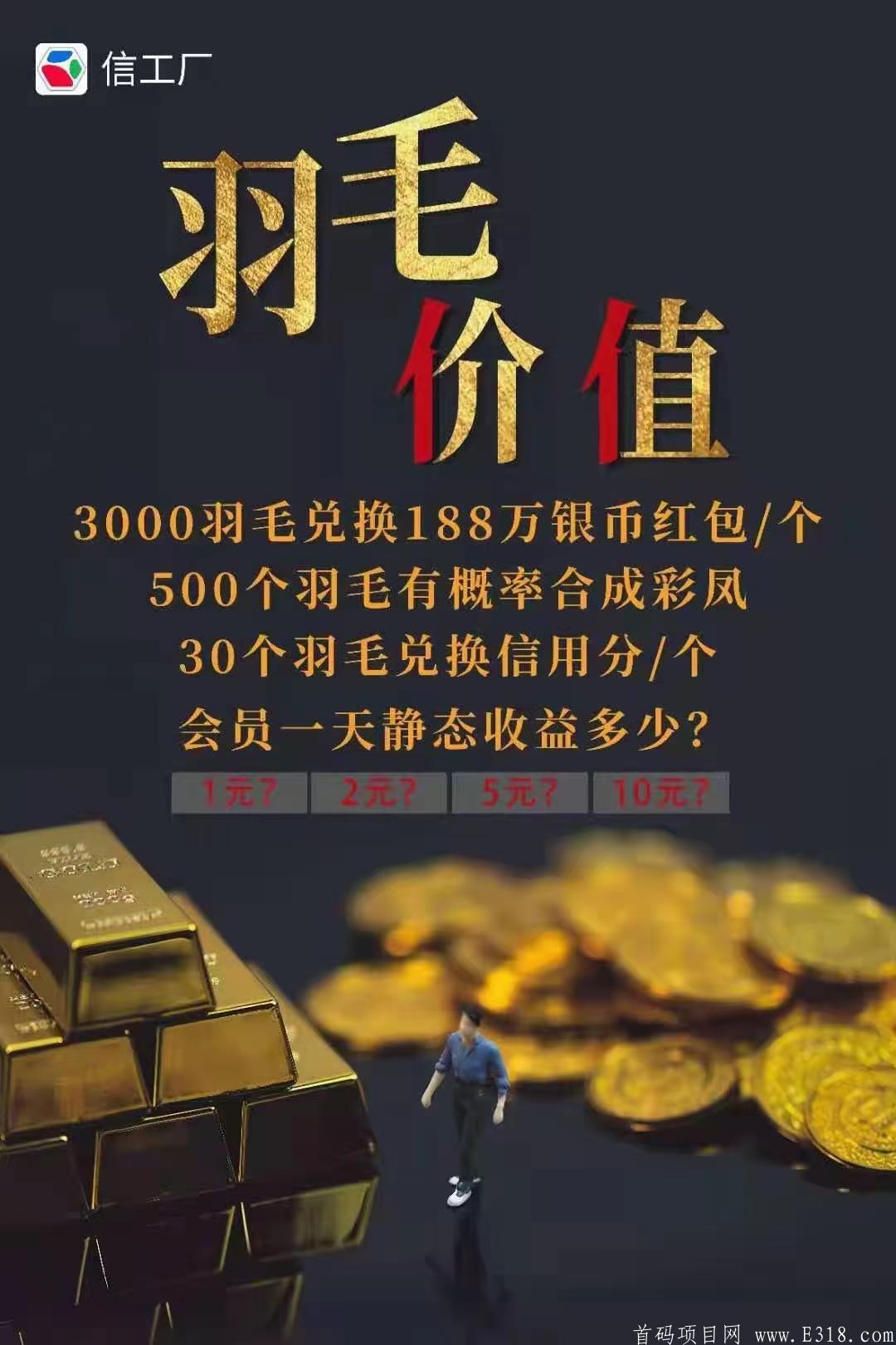 mmexport1613811435368.jpg