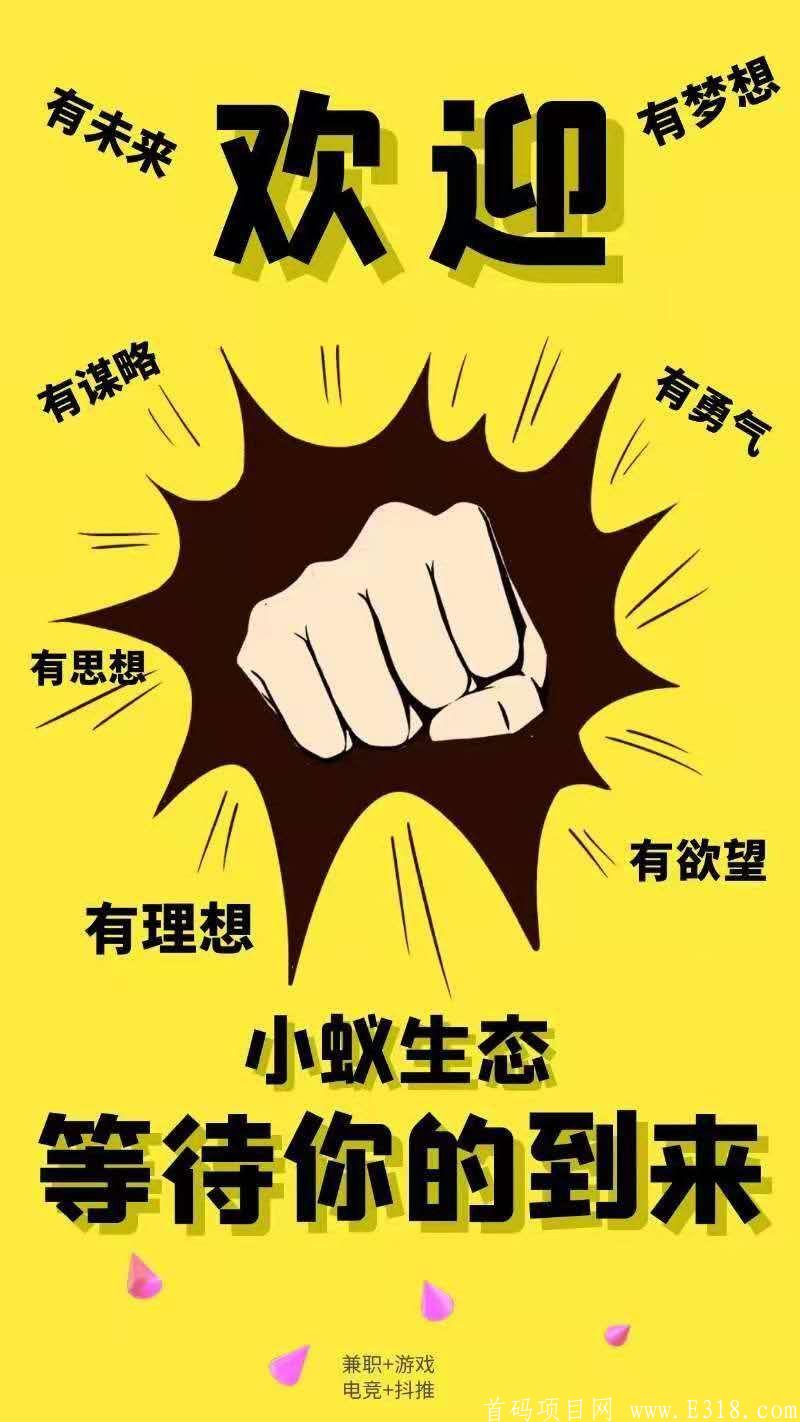 小蚁生态首码对接领导人(3.8内排截止)