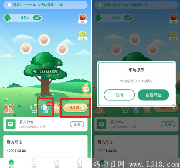 阳光果园每天领取.PNG 阳光果园每天领取.PNG