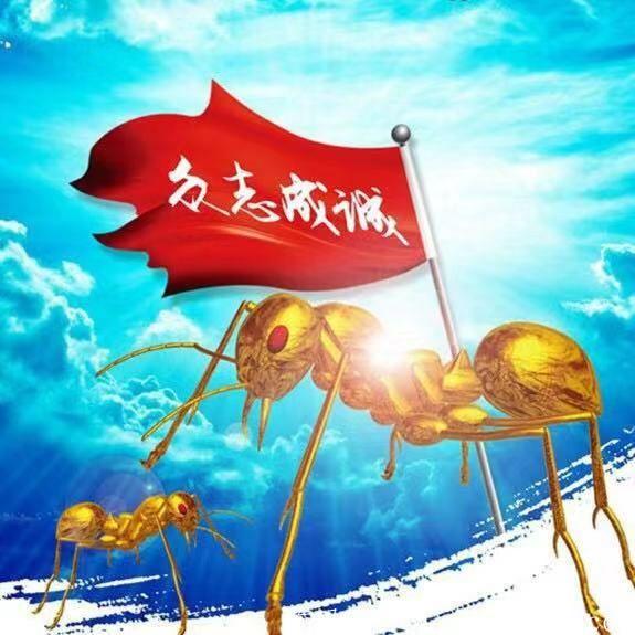 商趣首码对接