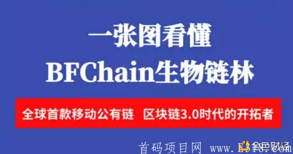 BFChain领空投激活挖kuang全球首款移动公有链—FBChain用手机就可以直接访问的区块链