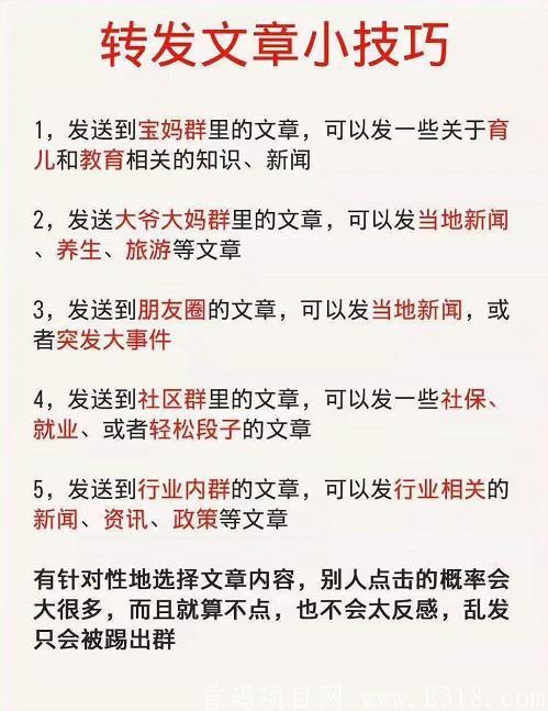 大众转平台，稳定持久0撸项目。