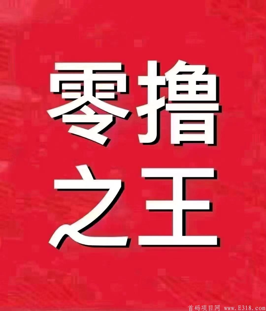 【大众转】2021最强暴力0撸，对接大小团队