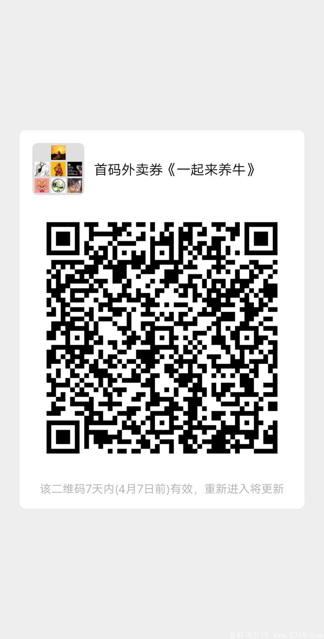明天首码《一起来养牛》对接团队长！两元起提，无限制