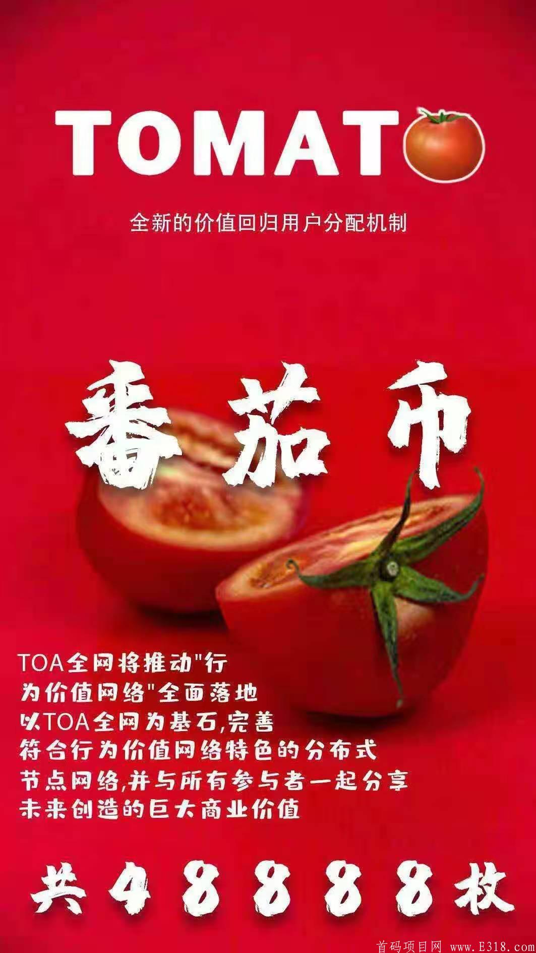 番茄币私募十倍打底