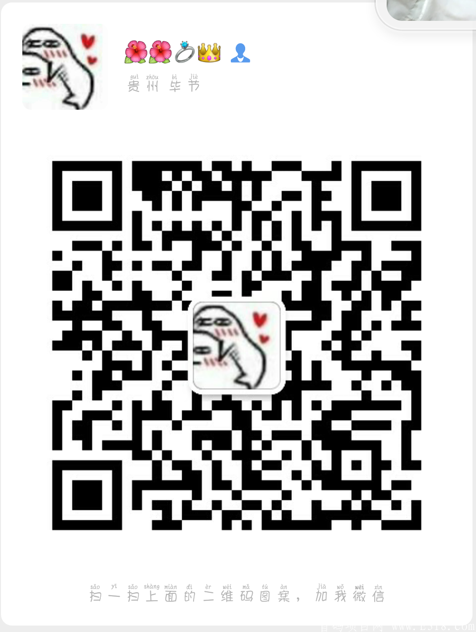 首码，引流+ 美团饿了么+话费充值+转发文章互联网最大综合社区
