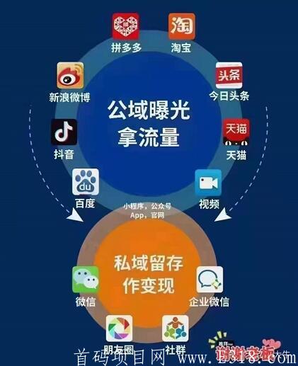 抖音新私域项目，启动内排公测，私聊我送最高级别，速度占位！