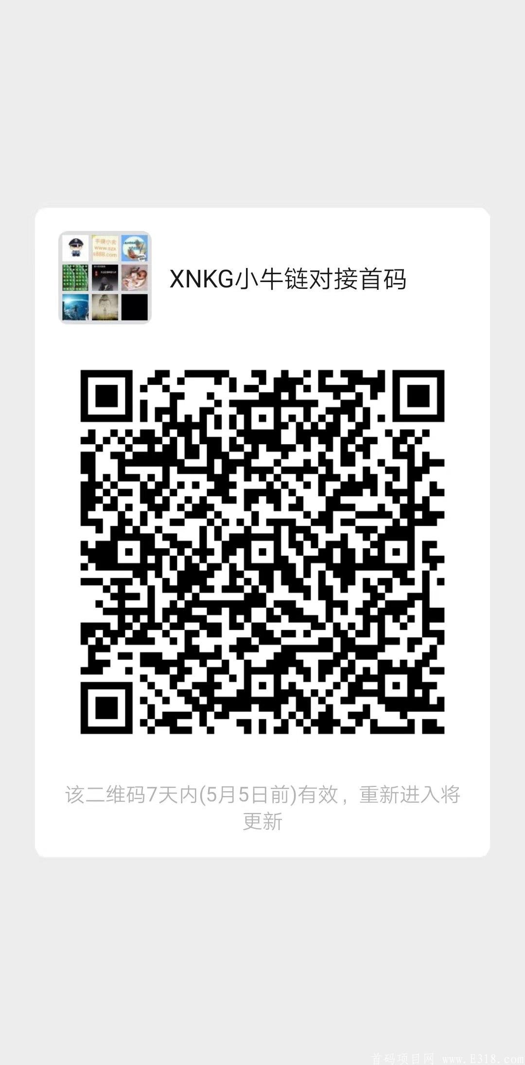 5/5号小牛链招募首码