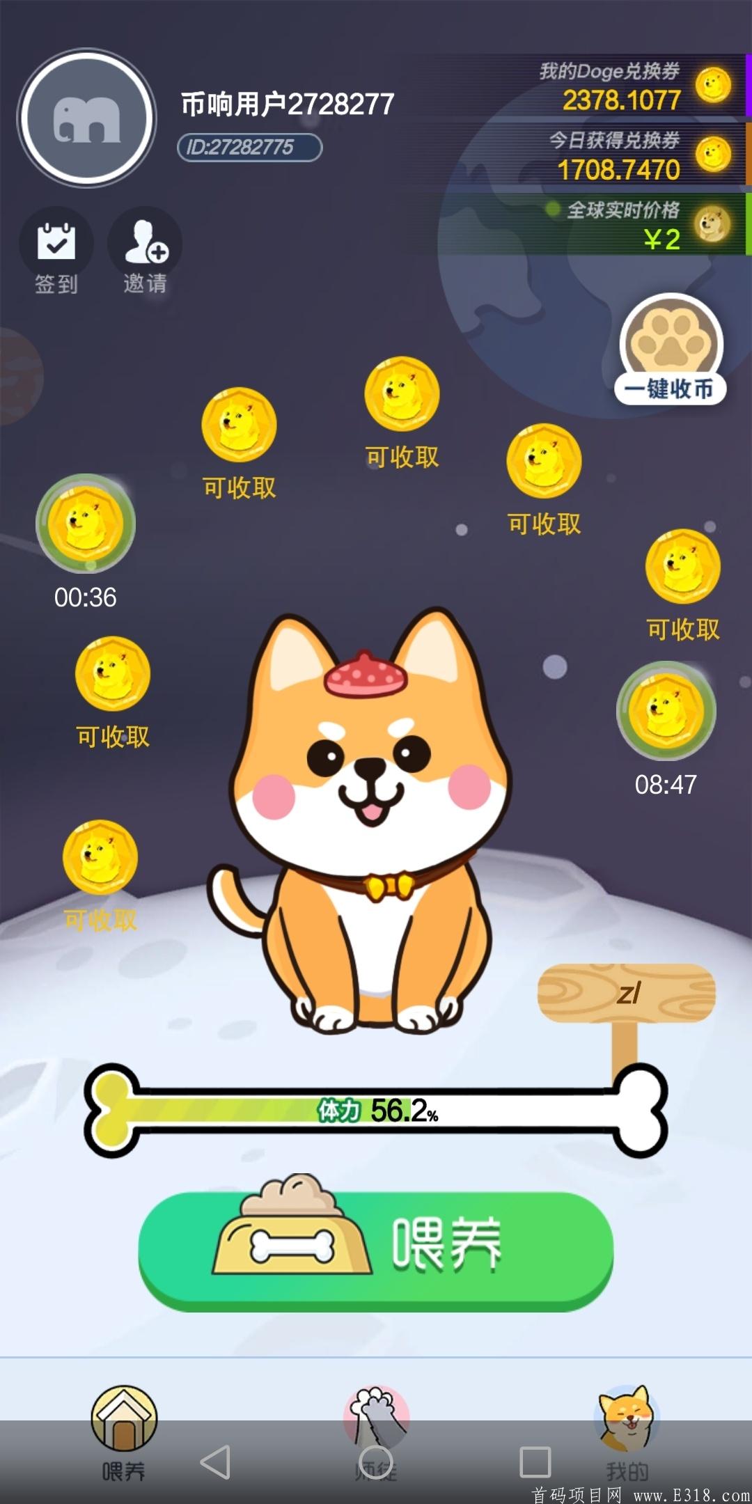 挖DOGE币的两个平台，可以玩，狗狗币零撸
