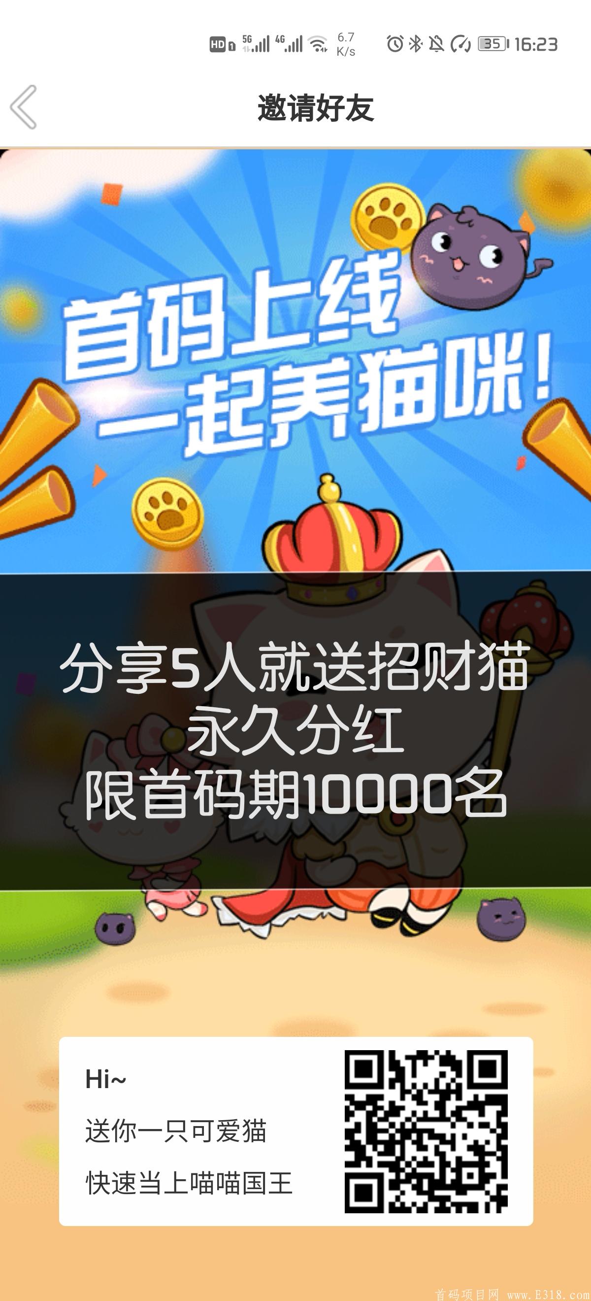 【一起养猫咪】首码，前10000免费的分红招财猫，永久分红