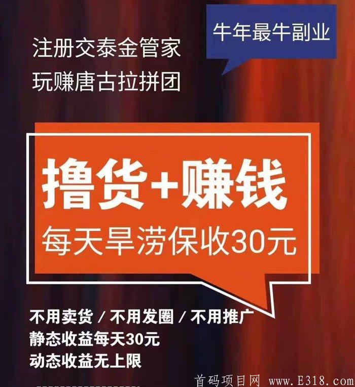 唐古拉优选2021新风向标。地推人选的首选