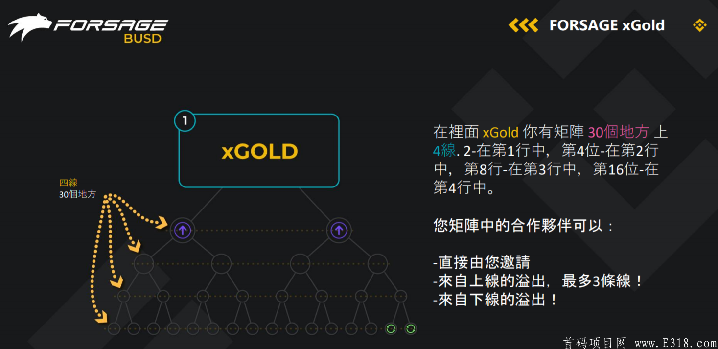 币安forsae佛萨奇，币圈王炸项目首码刚出-第8张图片-首码圈