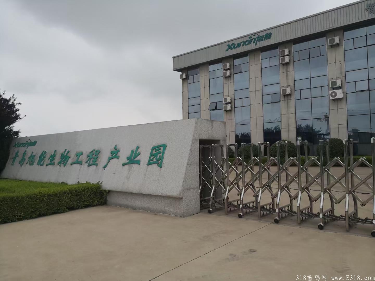 拼团青岛实体公司首码红色一百7月1号内测上线，无限代扶持30