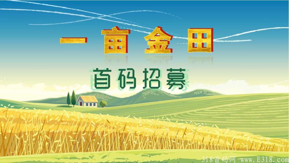 封皮.jpg
