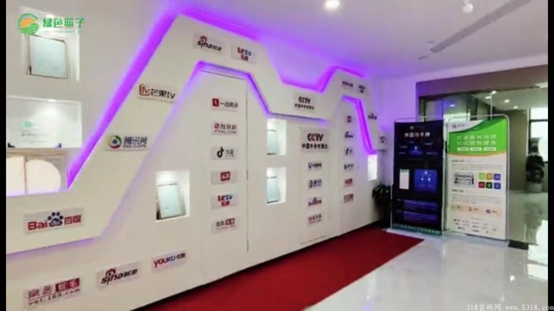 绿色篮子靠谱吗，绿色篮子拼团怎么赚钱？