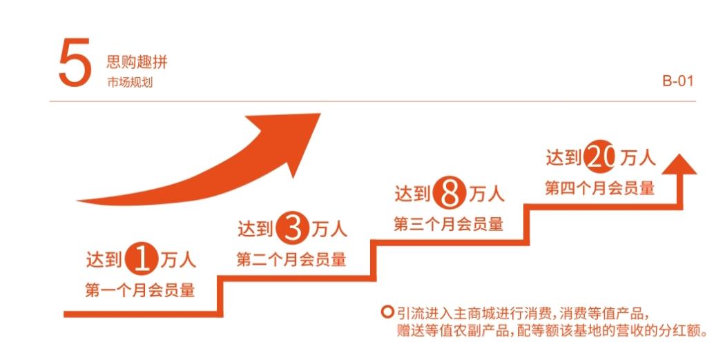 思购臻选-趣拼项⽬